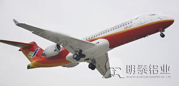 2024加硬91成人抖音用于飞机结构